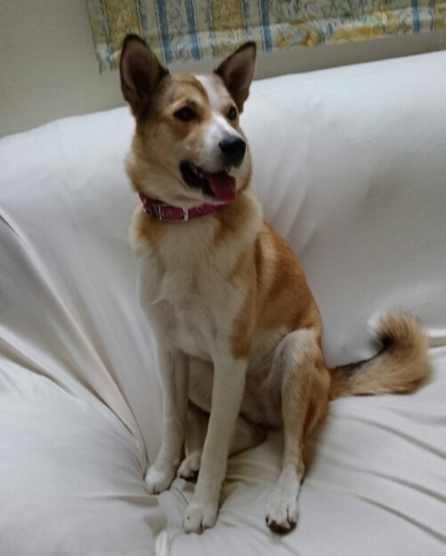 f:id:zion_hamanaka:20170828055747j:image f:id:zion_hamanaka:20170828055747j:image