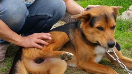 f:id:zion_hamanaka:20170828231823j:image f:id:zion_hamanaka:20170828231823j:image