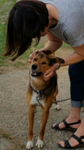 f:id:zion_hamanaka:20170828231924j:image f:id:zion_hamanaka:20170828231924j:image