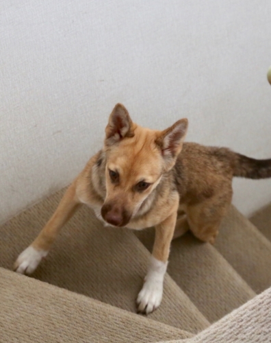 f:id:zion_hamanaka:20170830165232j:image