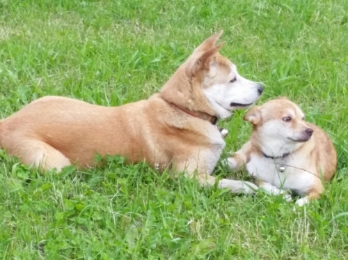 f:id:zion_hamanaka:20170924061753j:image