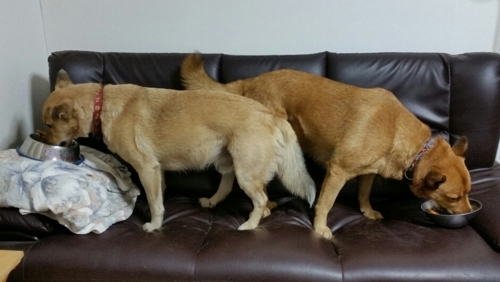 f:id:zion_hamanaka:20171013163204j:image f:id:zion_hamanaka:20171013163204j:image