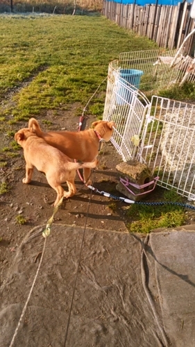 f:id:zion_hamanaka:20171025072439j:image