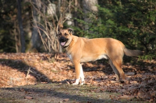 f:id:zion_hamanaka:20171028224402j:image f:id:zion_hamanaka:20171028224402j:image