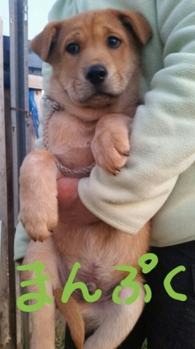 f:id:zion_hamanaka:20171030223822j:image