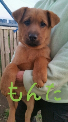 f:id:zion_hamanaka:20171030223903j:image