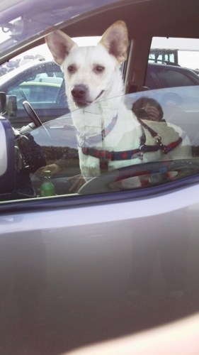 f:id:zion_hamanaka:20171119113815j:image