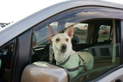 f:id:zion_hamanaka:20171119120457j:image