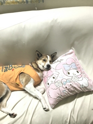 f:id:zion_hamanaka:20171206083933j:image f:id:zion_hamanaka:20171206083933j:image