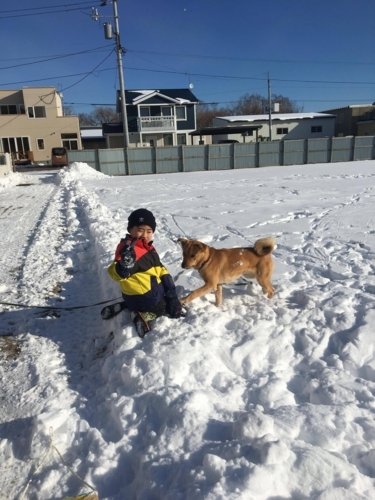 f:id:zion_hamanaka:20171212133718j:image