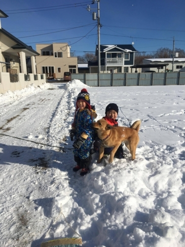 f:id:zion_hamanaka:20171212133728j:image
