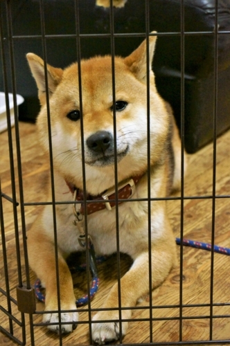 f:id:zion_hamanaka:20180110190849j:image f:id:zion_hamanaka:20180110190849j:image
