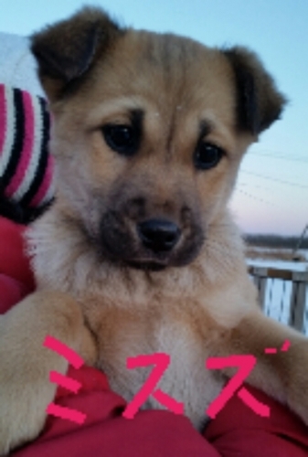 f:id:zion_hamanaka:20180113090503j:image