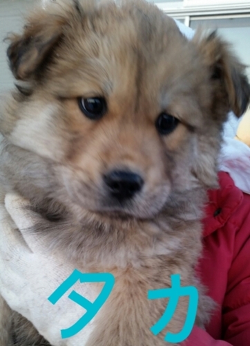 f:id:zion_hamanaka:20180113090803j:image