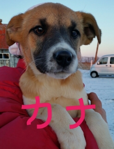 f:id:zion_hamanaka:20180113091014j:image