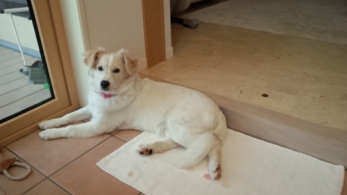 f:id:zion_hamanaka:20180121151038j:image f:id:zion_hamanaka:20180121151038j:image