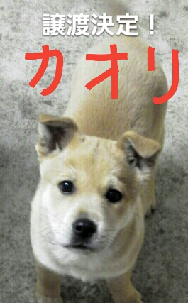 f:id:zion_hamanaka:20180122211210j:image