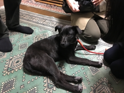 f:id:zion_hamanaka:20180129193204j:image