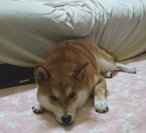 f:id:zion_hamanaka:20180303153037j:image