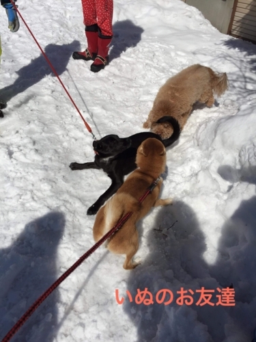 f:id:zion_hamanaka:20180312094938j:image