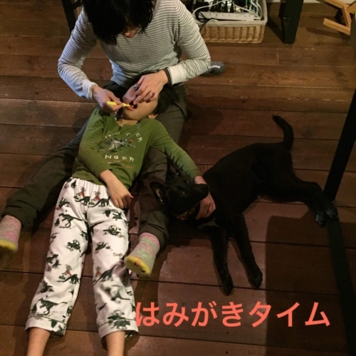 f:id:zion_hamanaka:20180312094945j:image