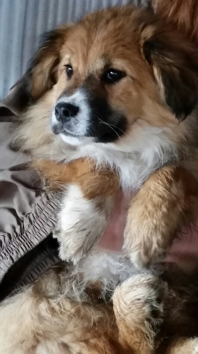 f:id:zion_hamanaka:20180316061006j:image f:id:zion_hamanaka:20180316061006j:image