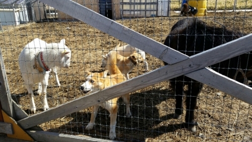 f:id:zion_hamanaka:20180317224829j:image