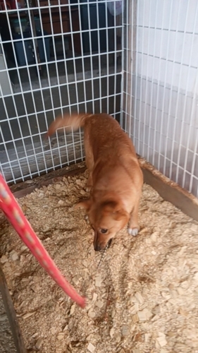 f:id:zion_hamanaka:20180412160642j:image f:id:zion_hamanaka:20180412160642j:image