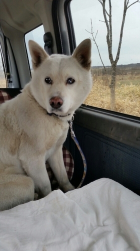 f:id:zion_hamanaka:20180426232128j:image f:id:zion_hamanaka:20180426232128j:image