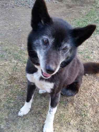 f:id:zion_hamanaka:20180505172053j:image