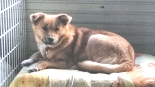 f:id:zion_hamanaka:20180506101436j:image