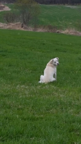 f:id:zion_hamanaka:20180509081445j:image