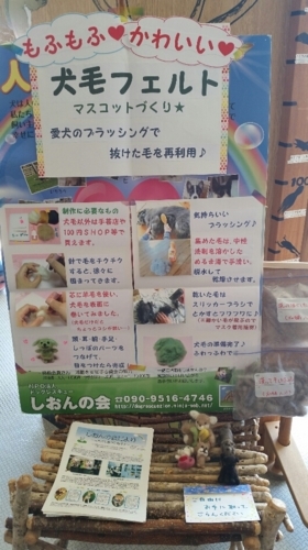 f:id:zion_hamanaka:20180509083726j:image