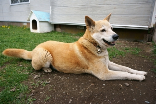 f:id:zion_hamanaka:20180517102539j:image