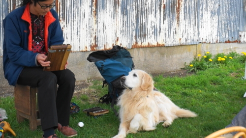 f:id:zion_hamanaka:20180517110136j:image