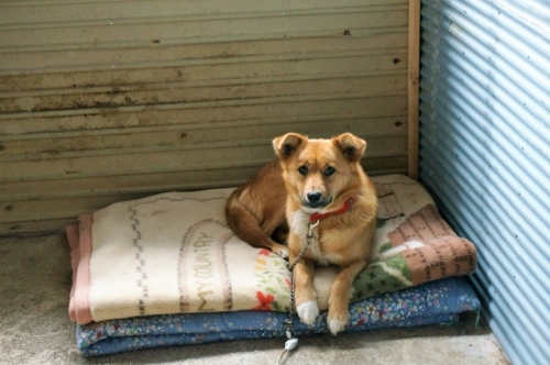 f:id:zion_hamanaka:20180517112107j:image