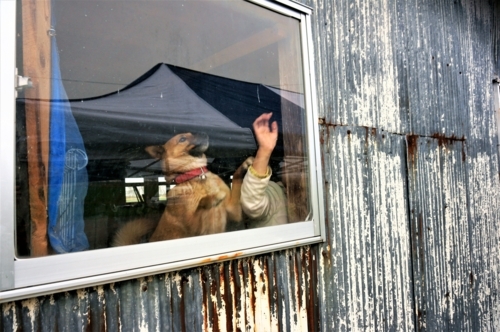 f:id:zion_hamanaka:20180517112143j:image