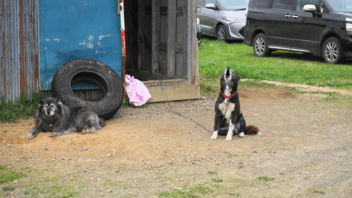 f:id:zion_hamanaka:20180517113145j:image