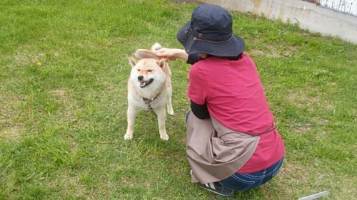 f:id:zion_hamanaka:20180717064306j:image