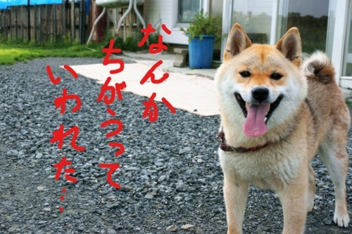 20180724190717