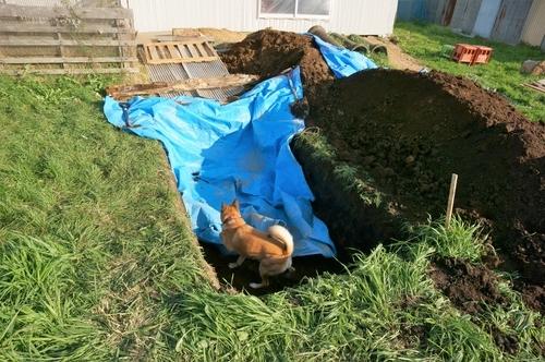 f:id:zion_hamanaka:20180915155832j:image f:id:zion_hamanaka:20180915155832j:image