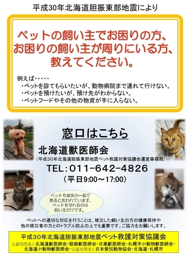 f:id:zion_hamanaka:20180916222141j:image