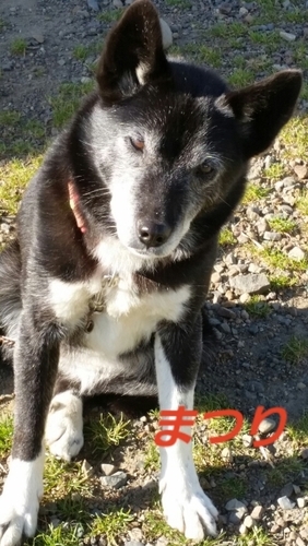 f:id:zion_hamanaka:20181021234434j:image