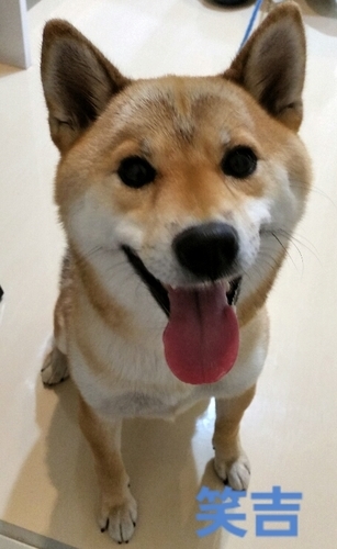 f:id:zion_hamanaka:20181021234541j:image