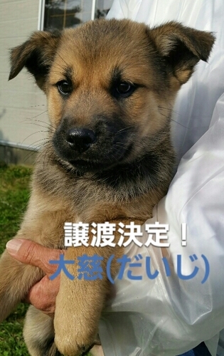 f:id:zion_hamanaka:20181023214839j:image