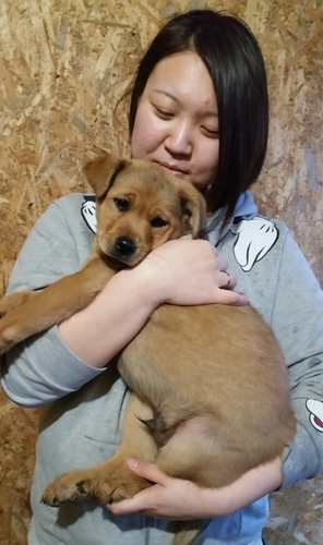 f:id:zion_hamanaka:20181027185629j:image
