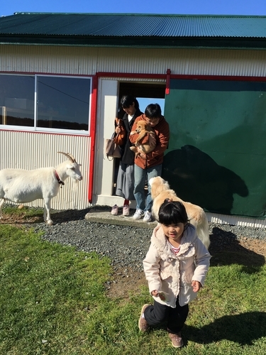 f:id:zion_hamanaka:20181028112128j:image f:id:zion_hamanaka:20181028112128j:image