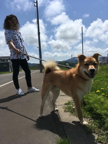 f:id:zion_hamanaka:20181029070448j:image