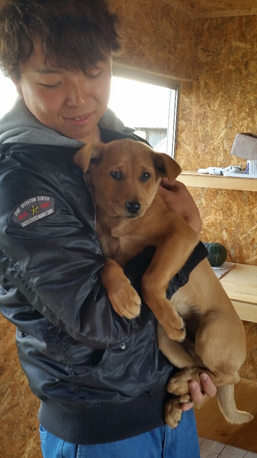 f:id:zion_hamanaka:20181112192630j:plain