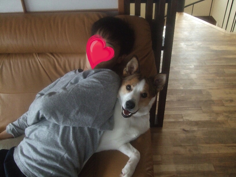 f:id:zion_hamanaka:20181126105346j:plain